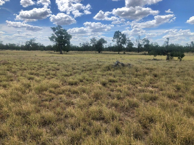 40 Jensens Rd, Goondiwindi QLD 4390