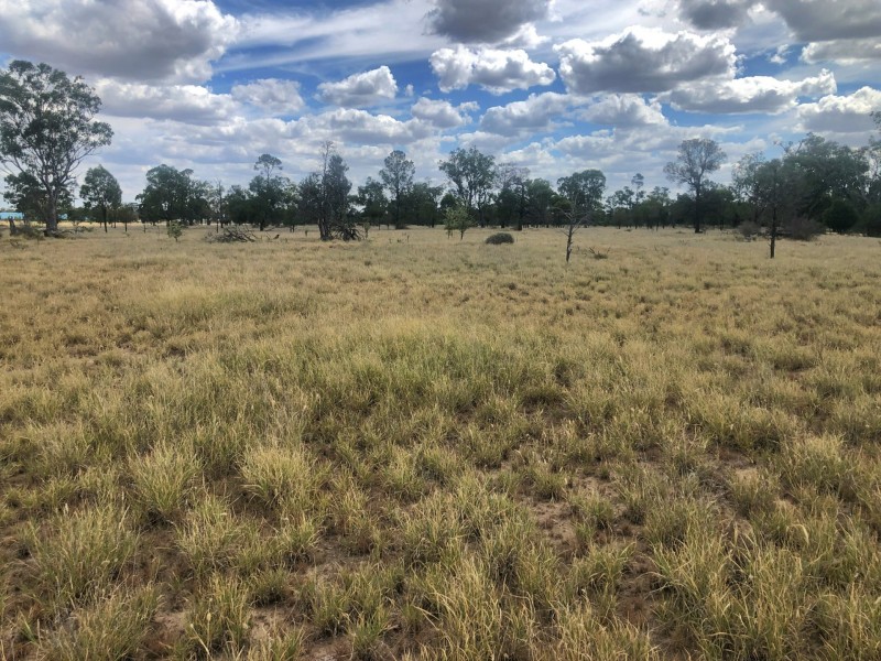 40 Jensens Rd, Goondiwindi QLD 4390