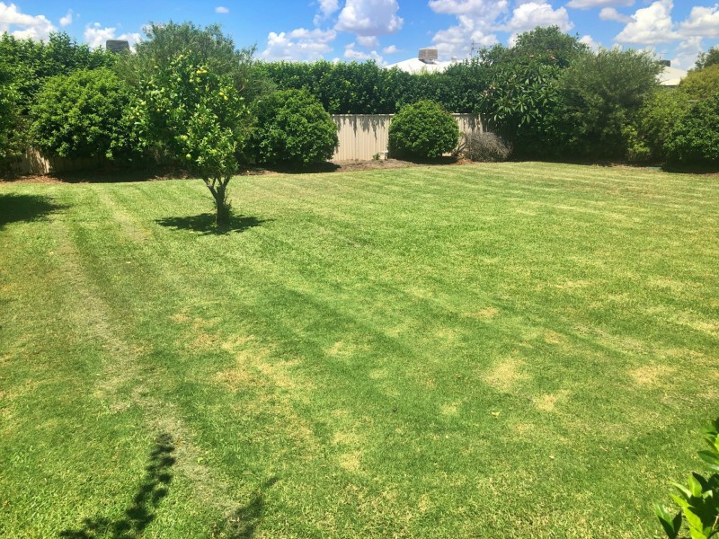 12 Veronic Ave, Goondiwindi QLD 4390