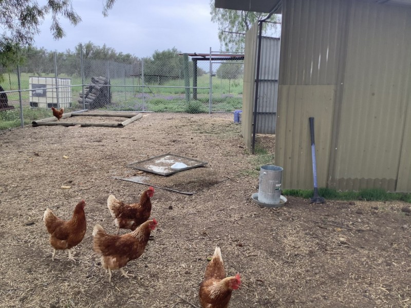 163 Hensler Rd, Goondiwindi QLD 4390