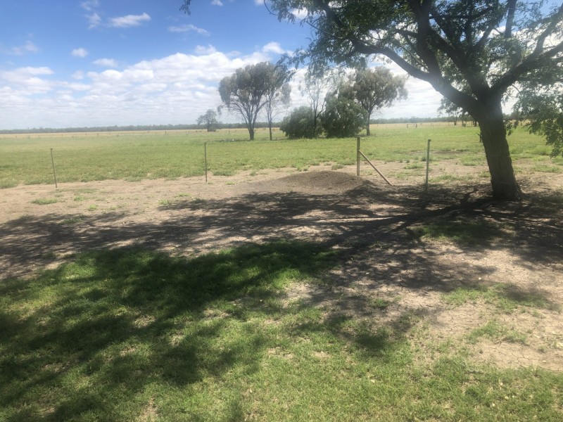 163 Hensler Rd, Goondiwindi QLD 4390