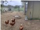 163 Hensler Rd, Goondiwindi QLD 4390