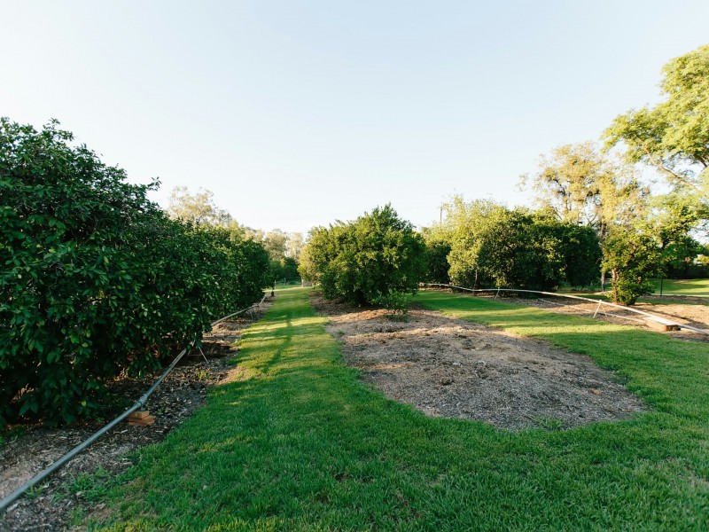 32 Old Kildonan Road, Goondiwindi QLD 4390