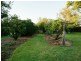 32 Old Kildonan Road, Goondiwindi QLD 4390