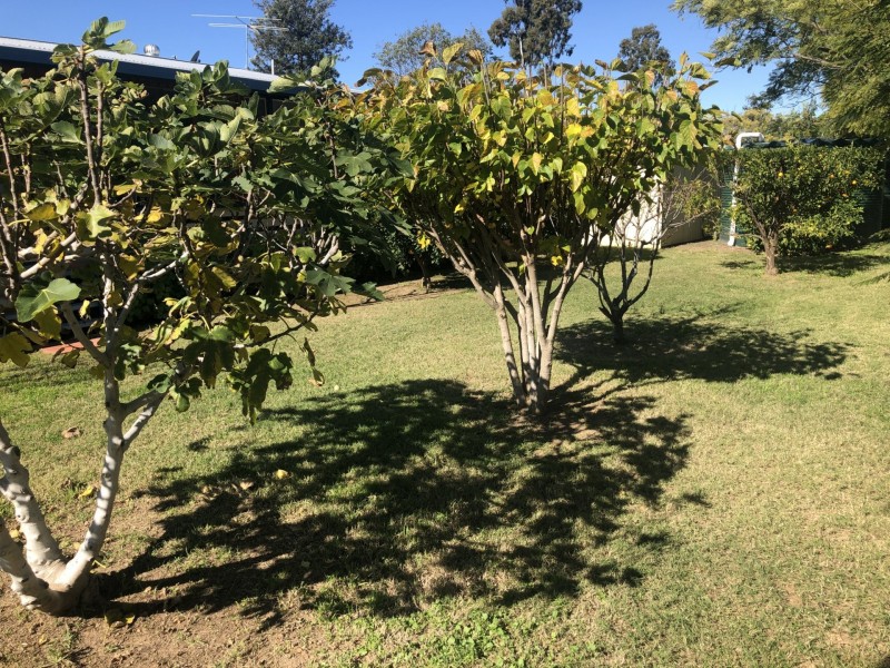 23 George St, Inglewood QLD 4387