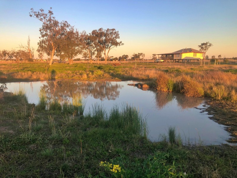 176 Polo Rd, Goondiwindi QLD 4390