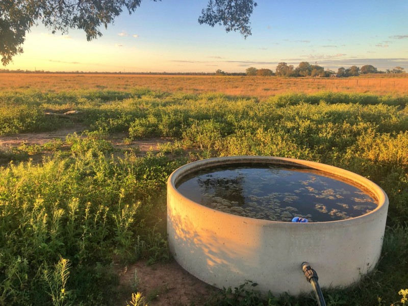 176 Polo Rd, Goondiwindi QLD 4390