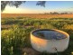 176 Polo Rd, Goondiwindi QLD 4390