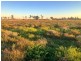 176 Polo Rd, Goondiwindi QLD 4390