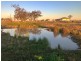 176 Polo Rd, Goondiwindi QLD 4390