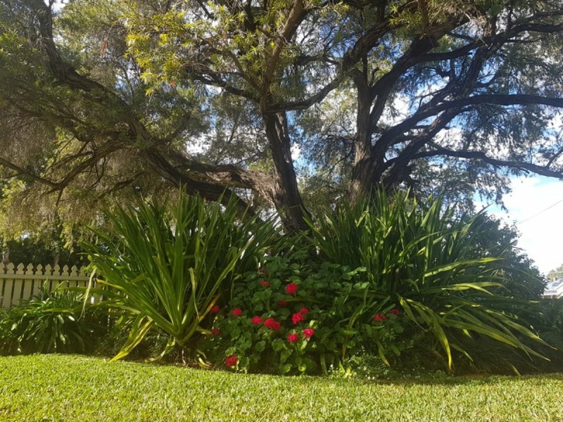 29 Moffatt Street, Goondiwindi QLD 4390