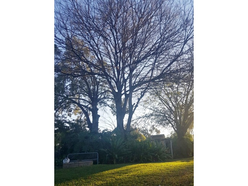 29 Moffatt Street, Goondiwindi QLD 4390