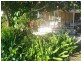 29 Moffatt Street, Goondiwindi QLD 4390