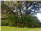 29 Moffatt Street, Goondiwindi QLD 4390