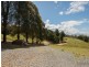 176 Kerrisons Road, Holwell TAS 7275