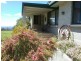 176 Kerrisons Road, Holwell TAS 7275