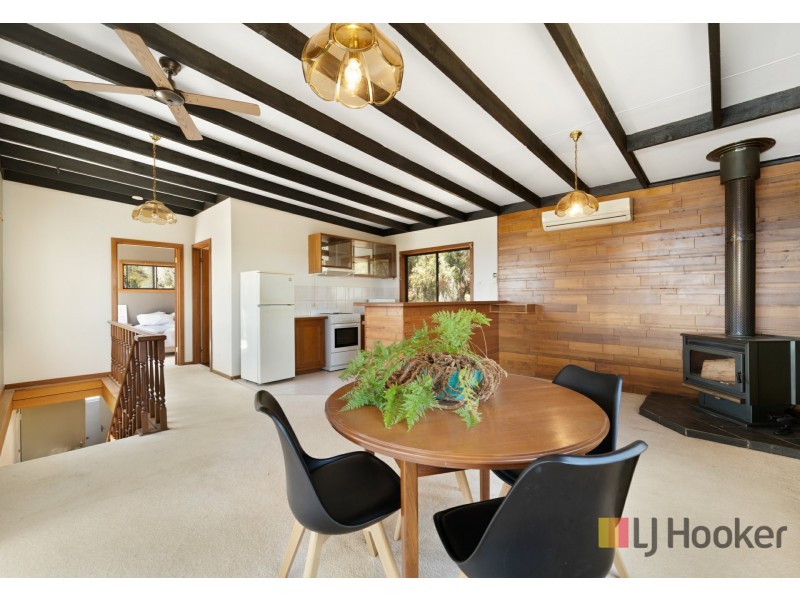 19 William Street, Bridport TAS 7262