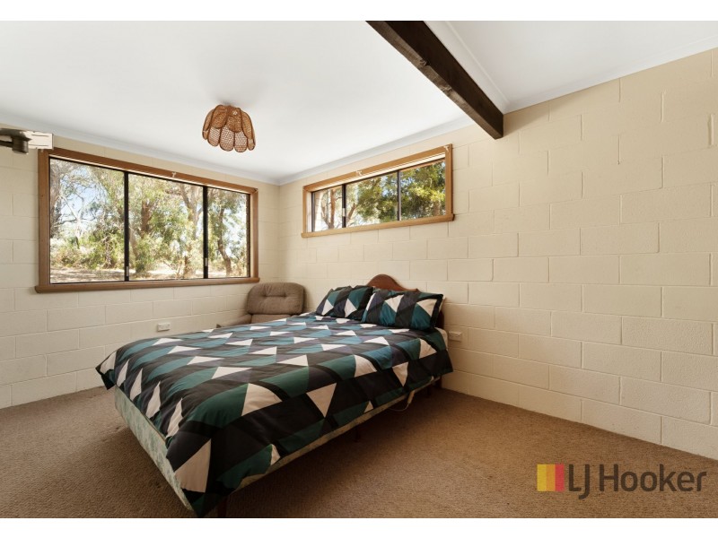 19 William Street, Bridport TAS 7262