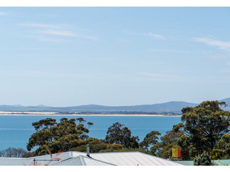 19 William Street, Bridport TAS 7262