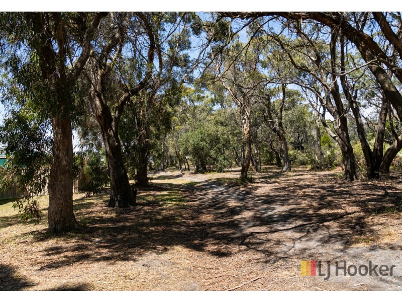 19 William Street, Bridport TAS 7262