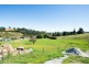 19 Mountain Road, Lilydale TAS 7268