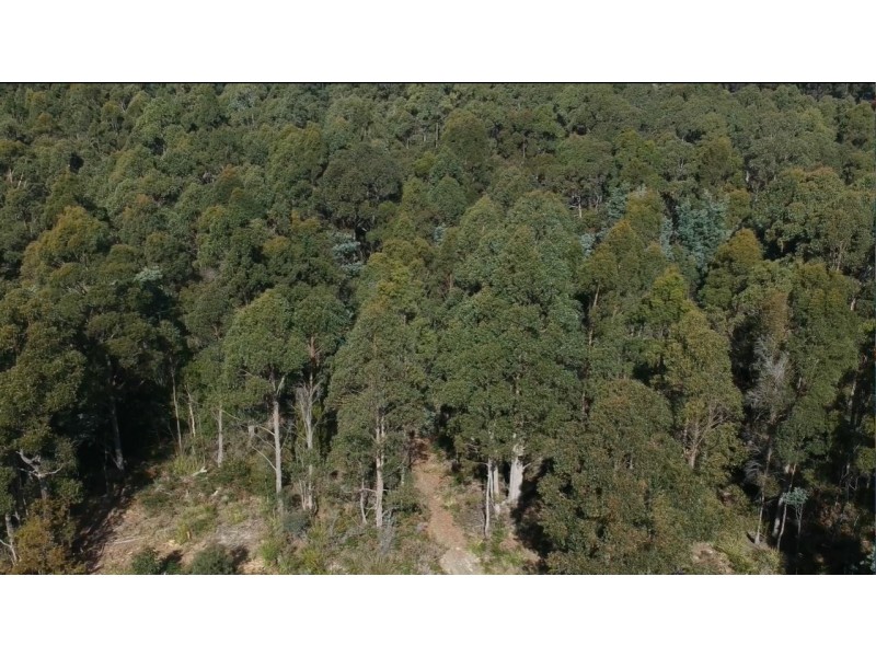 418 Pipers Brook Road, Lebrina TAS 7254