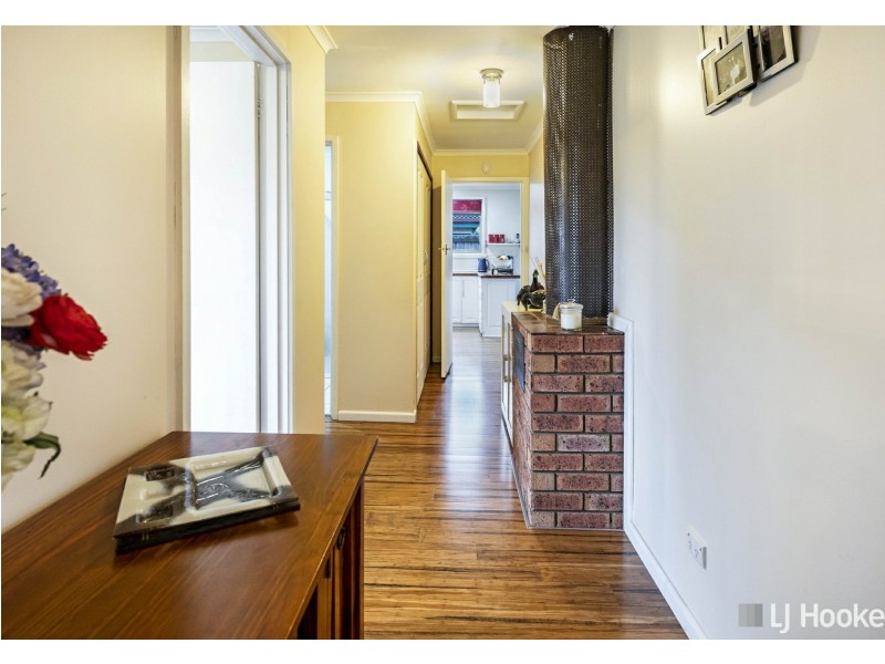 101 Alanvale Road, Newnham TAS 7248