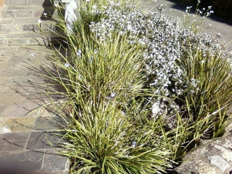 Unit 1/11 Dean Street, Ravenswood TAS 7250