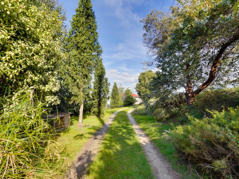 348A Gravelly Beach Road, Gravelly Beach TAS 7276