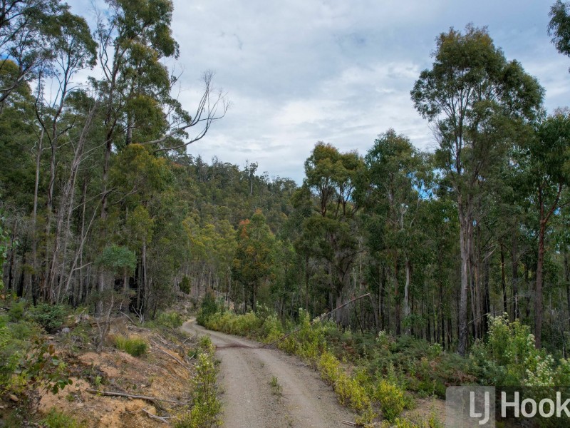 15 Binghams Road, Nunamara TAS 7259