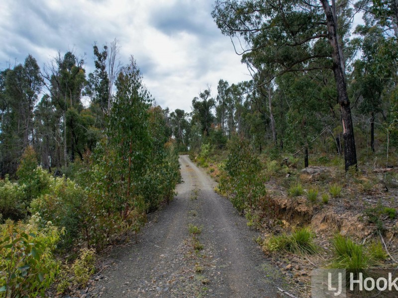 15 Binghams Road, Nunamara TAS 7259