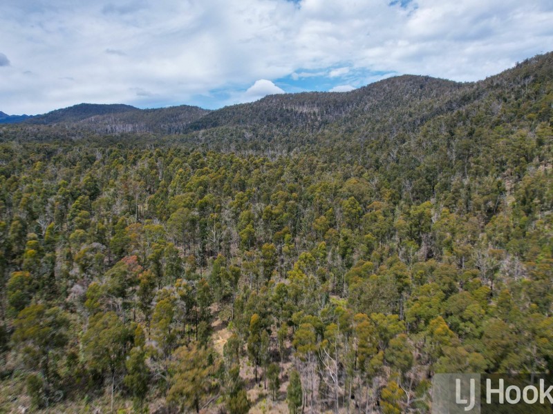 15 Binghams Road, Nunamara TAS 7259