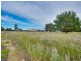 5 Peyton Street, Westbury TAS 7303