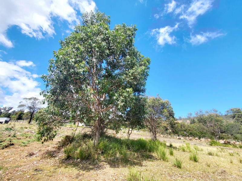 1190 Windermere Road, Swan Bay TAS 7252