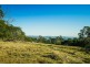 1162 Windermere Road, Swan Bay TAS 7252