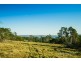 1162 Windermere Road, Swan Bay TAS 7252
