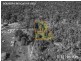 Lot 1/1 Denision Road, Lefroy TAS 7252