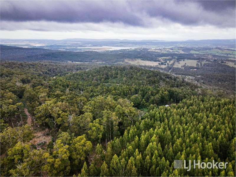 48 Jollys Road, Dilston TAS 7252