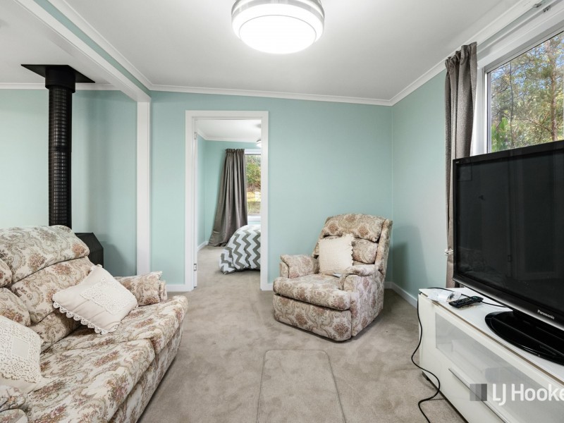 338A Gillespies Road, Nabowla TAS 7260