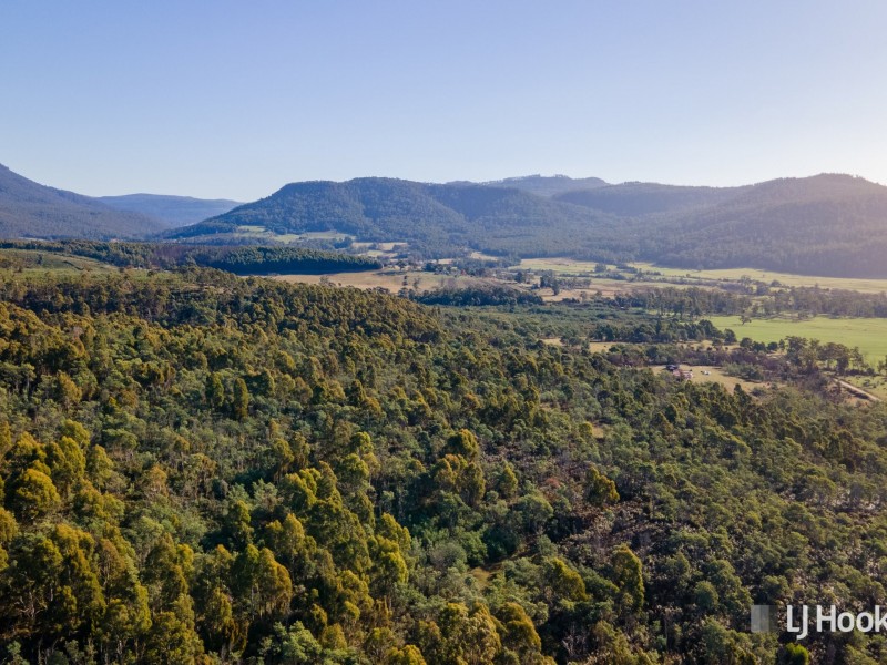 Lot 1 Liffey Road, Liffey TAS 7301