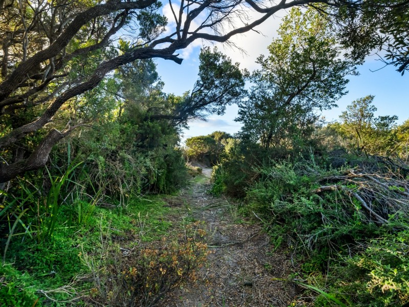 190 tomahawk Road, Tomahawk TAS 7262
