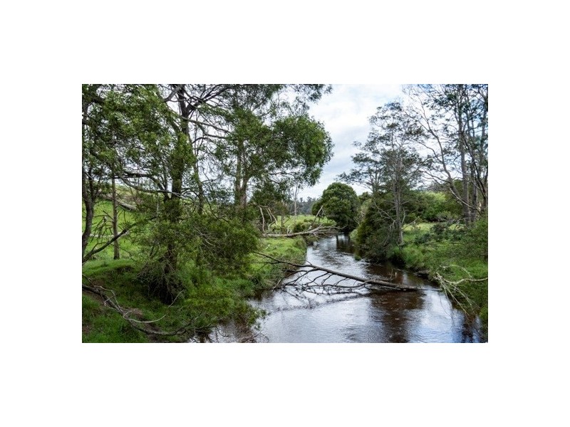 Lot 1 Forester Road, North Scottsdale TAS 7260