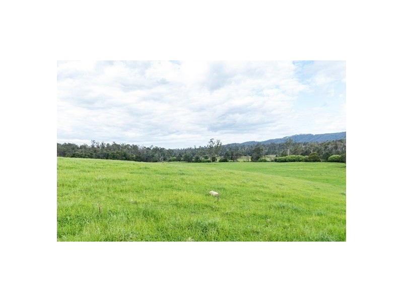 Lot 1 Forester Road, North Scottsdale TAS 7260