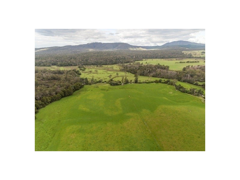 Lot 1 Forester Road, North Scottsdale TAS 7260
