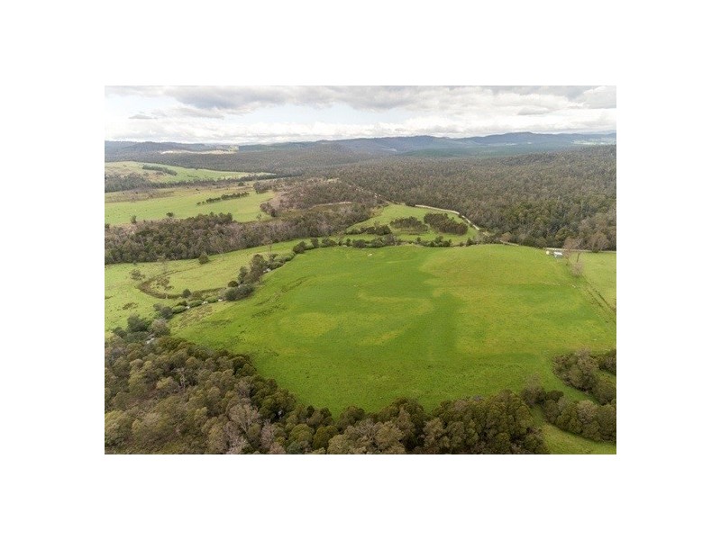 Lot 1 Forester Road, North Scottsdale TAS 7260