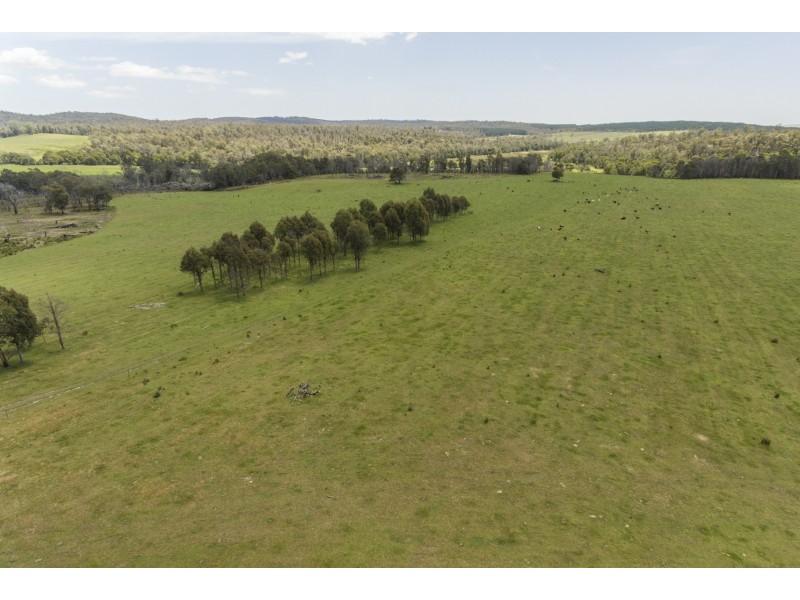 Lot 2 Forester Road, North Scottsdale TAS 7260