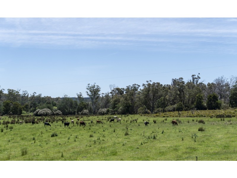 Lot 2 Forester Road, North Scottsdale TAS 7260