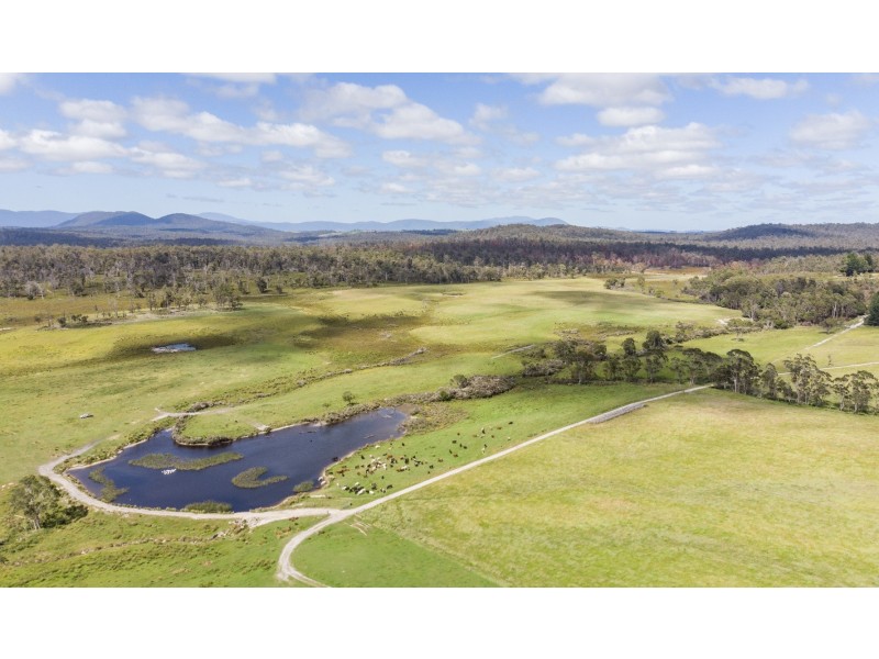 942 Old Waterhouse Road, North Scottsdale TAS 7260