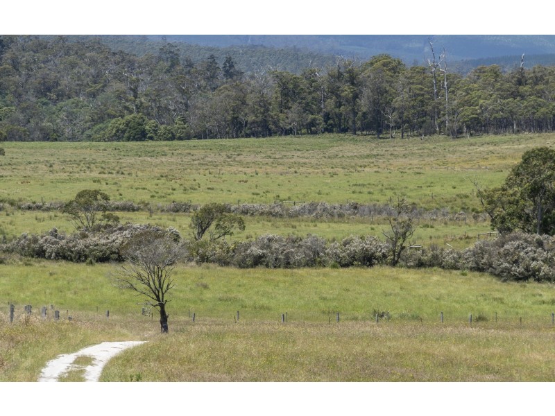 942 Old Waterhouse Road, North Scottsdale TAS 7260