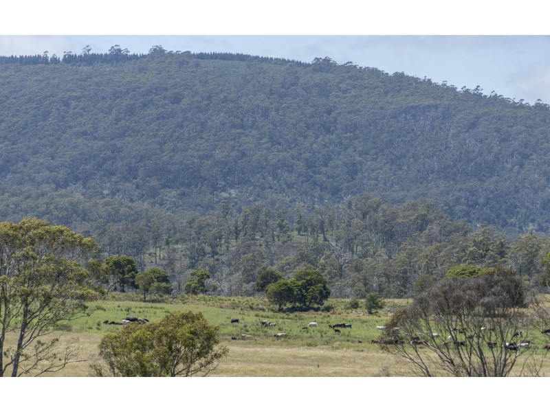 942 Old Waterhouse Road, North Scottsdale TAS 7260